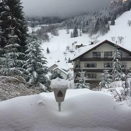 Apart Gastehaus Moosgrund Mini-hôtel *