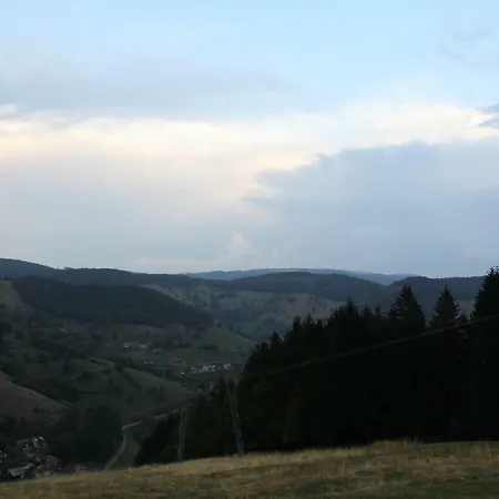 Apart Gastehaus Moosgrund Inn