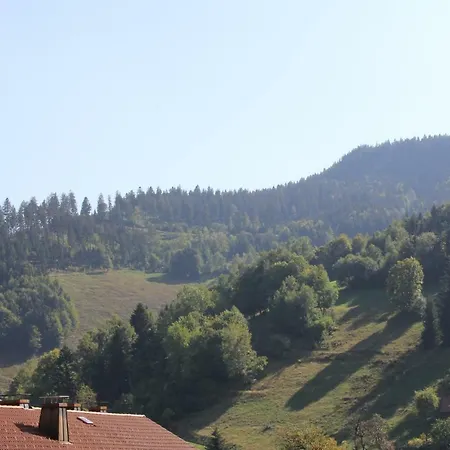 Apart Gastehaus Moosgrund Wieden