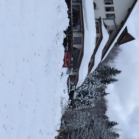 Apart Gastehaus Moosgrund Mini-hôtel *