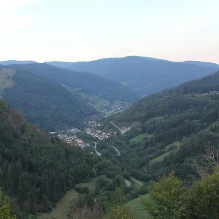 Apart Gastehaus Moosgrund Wieden