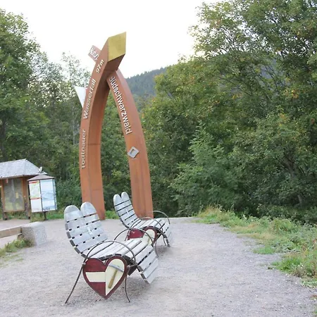 Apart Gastehaus Moosgrund * Wieden