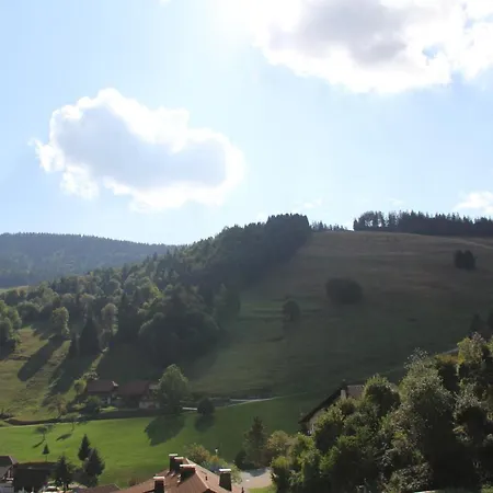Apart Gastehaus Moosgrund * Wieden
